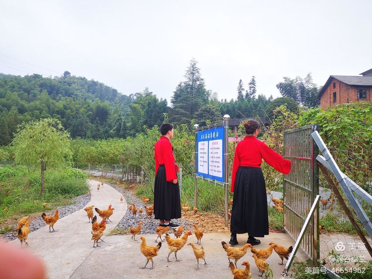 常德市度假村,鼎城區(qū)生態(tài)農(nóng)莊,鄉(xiāng)村旅游,農(nóng)家樂,冷水魚養(yǎng)殖