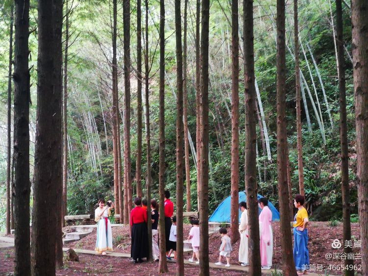 常德市度假村,鼎城區(qū)生態(tài)農(nóng)莊,鄉(xiāng)村旅游,農(nóng)家樂,冷水魚養(yǎng)殖